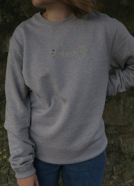 Hapus Sweatshirt in Grey